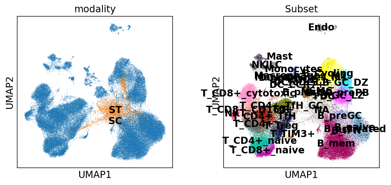 ../_images/notebooks_Human_Lymph_Node_24_0.png