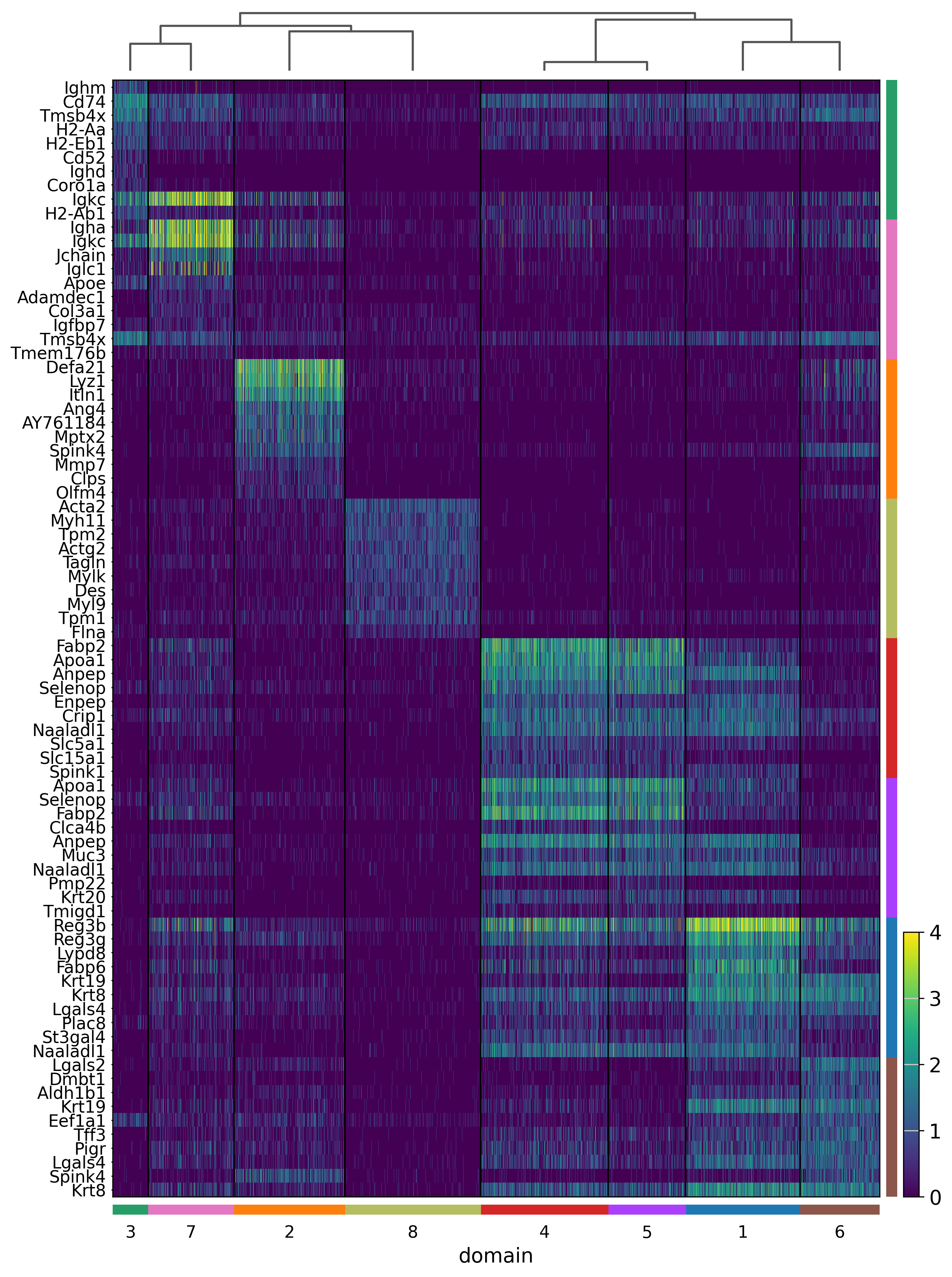 ../_images/notebooks_mouse_small_intestine_22_1.png