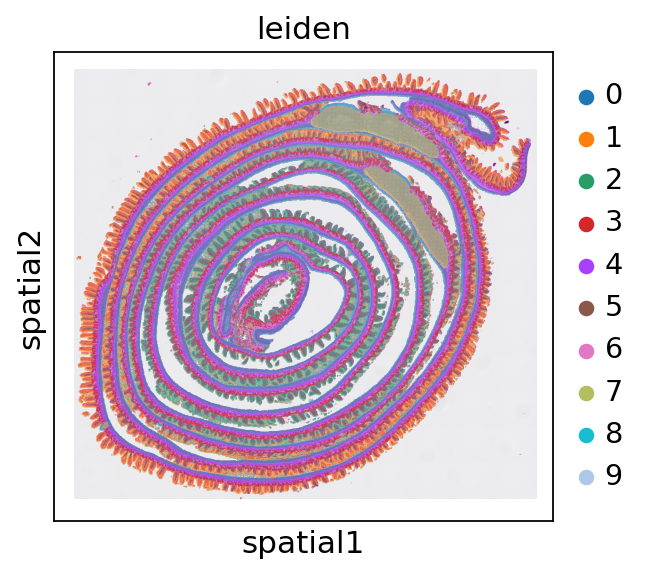 ../_images/notebooks_mouse_small_intestine_30_0.png