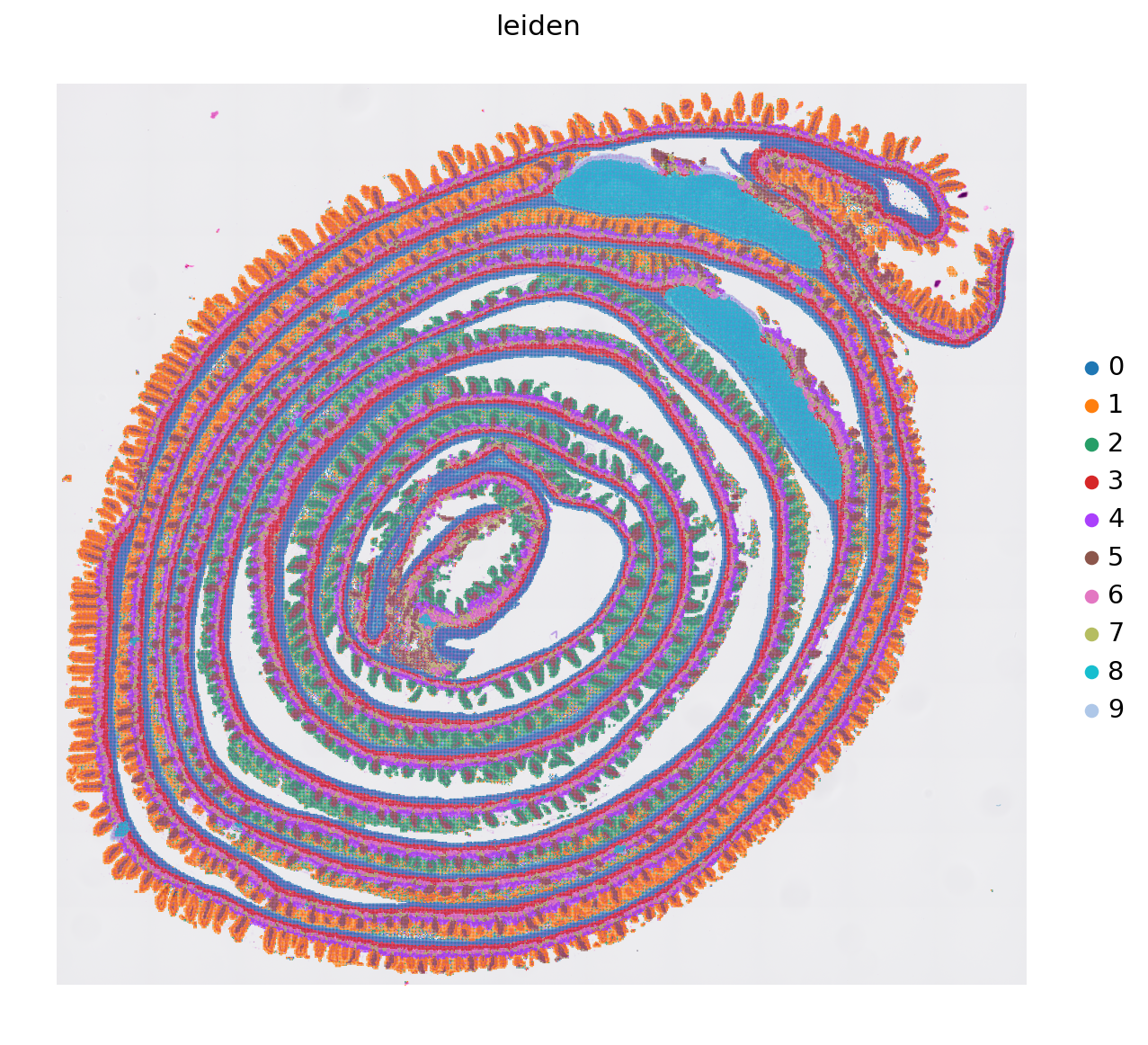 ../_images/notebooks_mouse_small_intestine_32_1.png