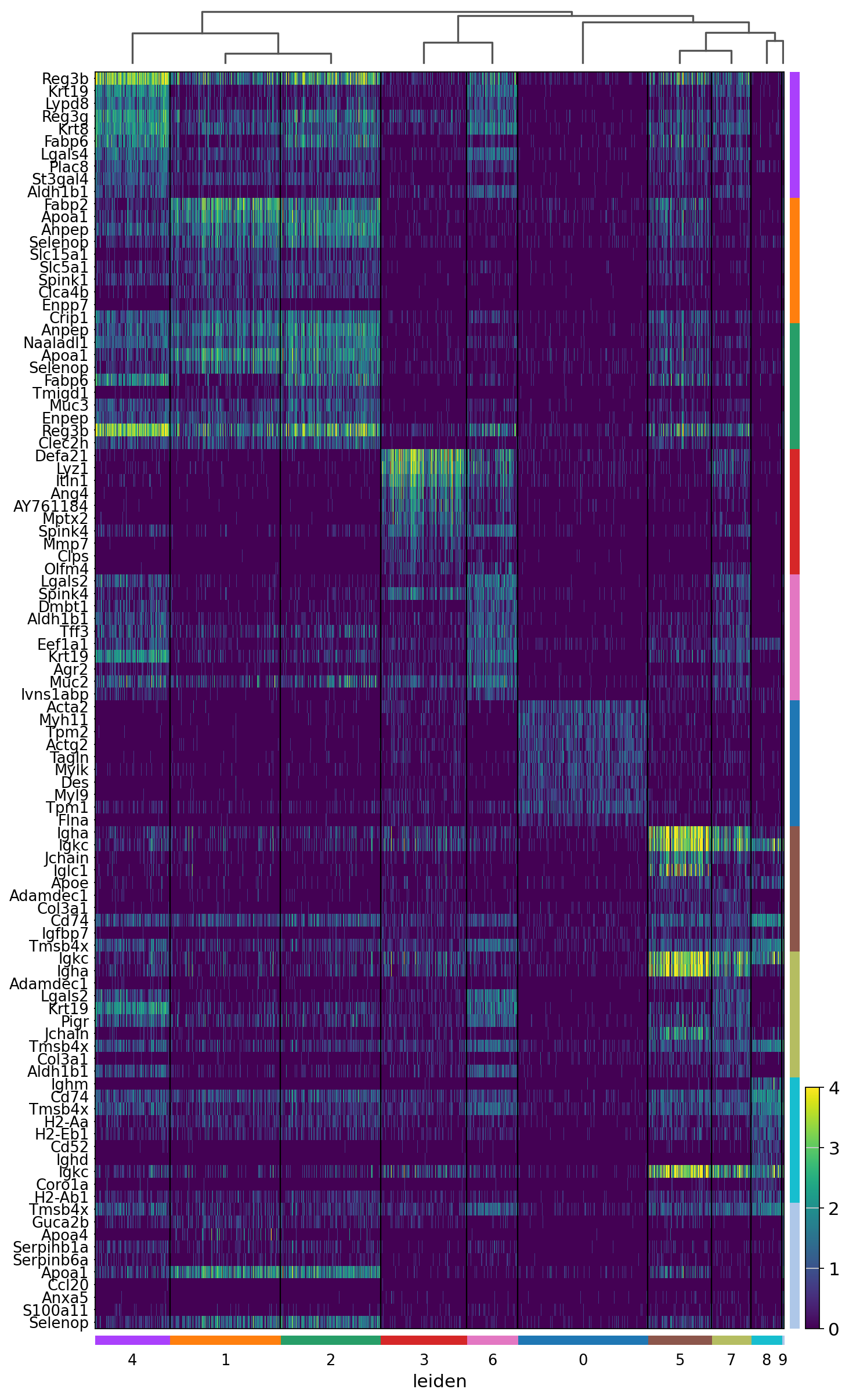 ../_images/notebooks_mouse_small_intestine_40_1.png