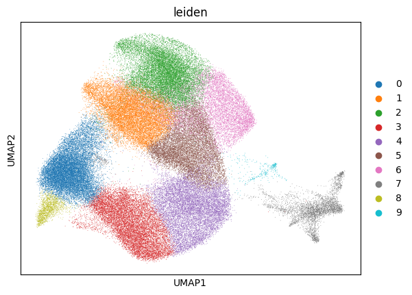 ../_images/notebooks_mouse_small_intestine_7_0.png