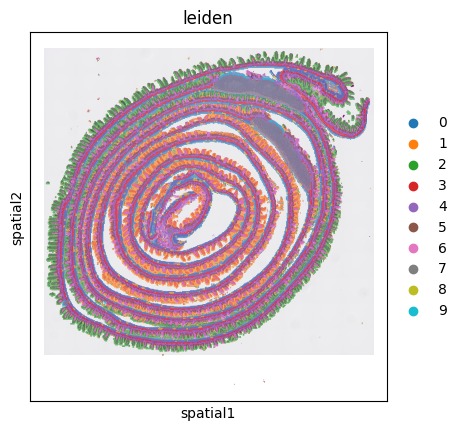 ../_images/notebooks_mouse_small_intestine_8_0.png